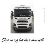 She’s No Egg But She’ Some Yoke (Straight) Sticker